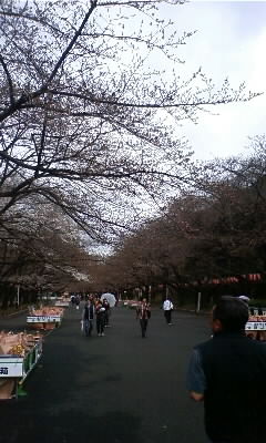 上野公園・中心_20090321.jpg
